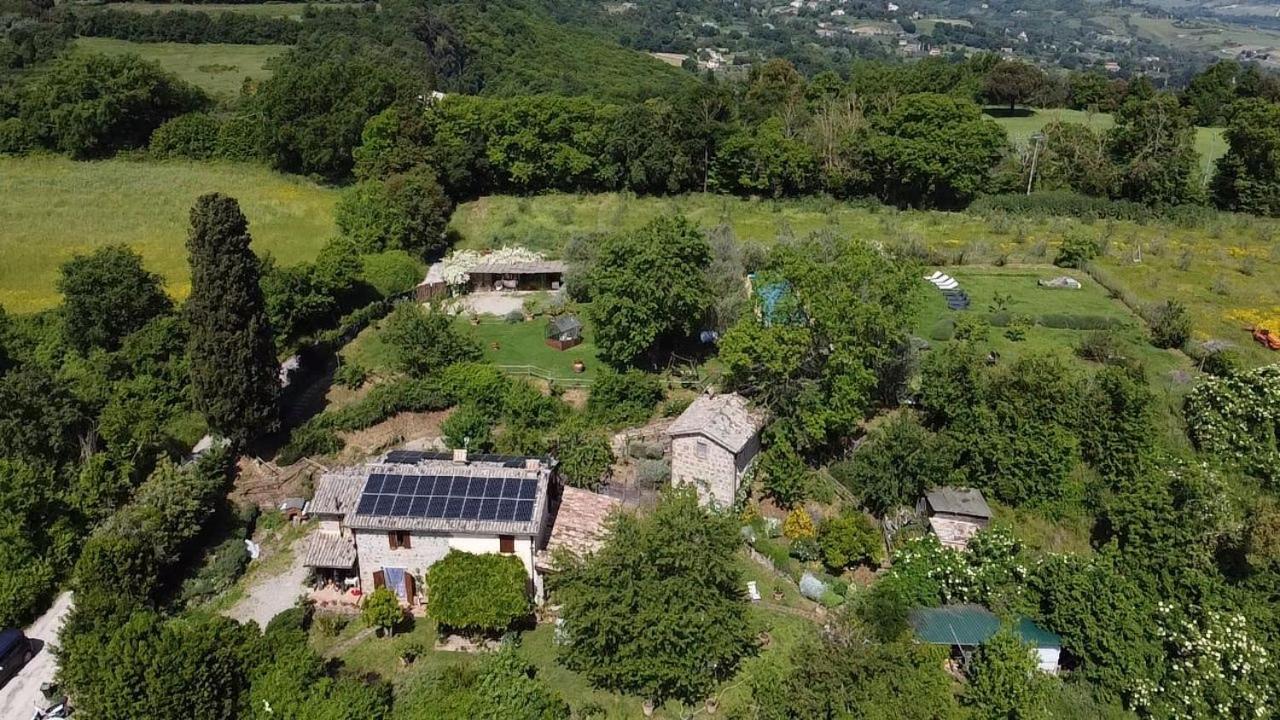 Agriturismo La Cervaiola Piccola Dimora Di Campagna Porano Exterior foto