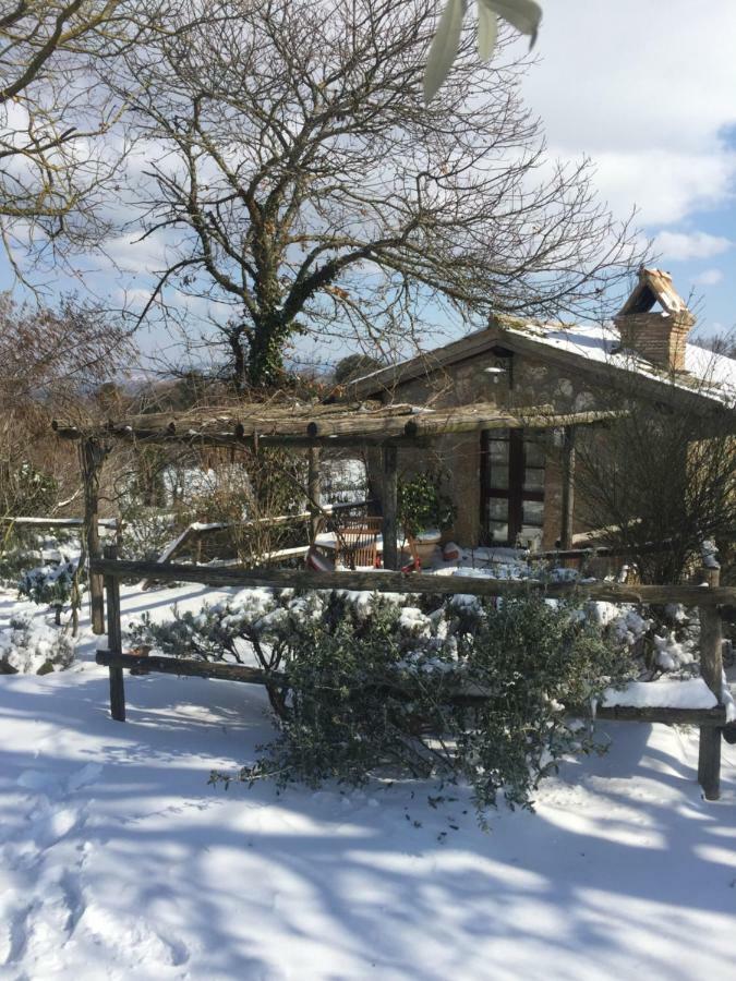 Agriturismo La Cervaiola Piccola Dimora Di Campagna Porano Exterior foto